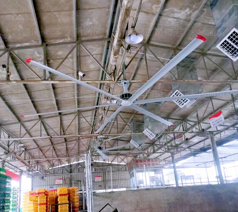 給車間通風(fēng)降溫采用什么設(shè)備既能省成本效果又好呢？