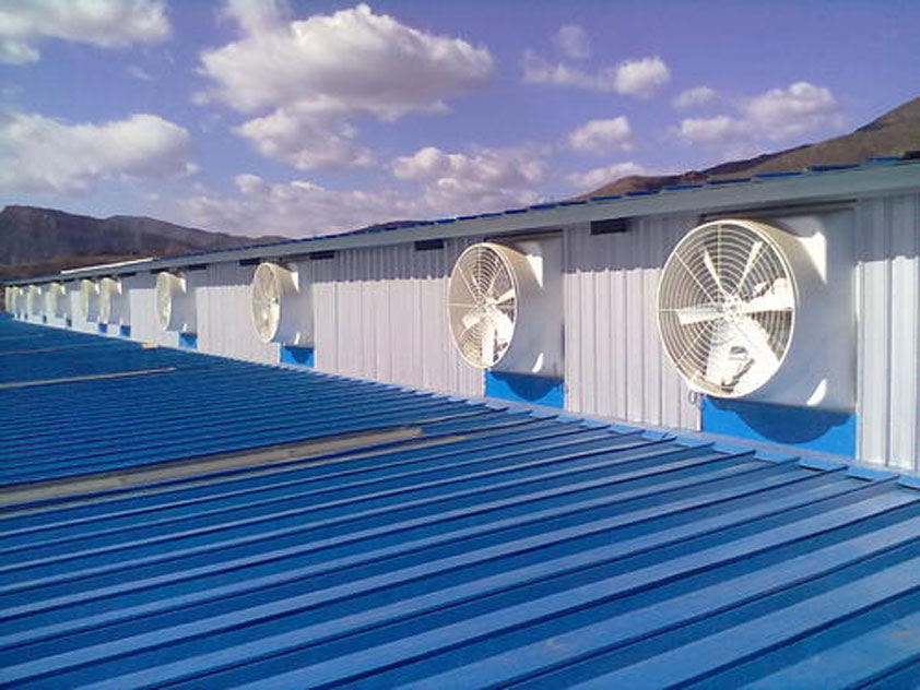 鐵皮廠房降溫這幾種解決方案你知道嗎？