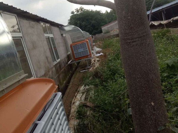 通風(fēng)降溫工程用潤(rùn)東方節(jié)能環(huán)?？照{(diào)設(shè)備就對(duì)了