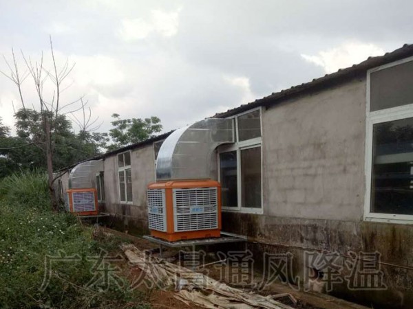 飼養(yǎng)廠|養(yǎng)豬場環(huán)?？照{通風降溫案例