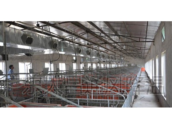 潤(rùn)東方環(huán)?？照{(diào)廠家為您解析溫度對(duì)豬的重要性