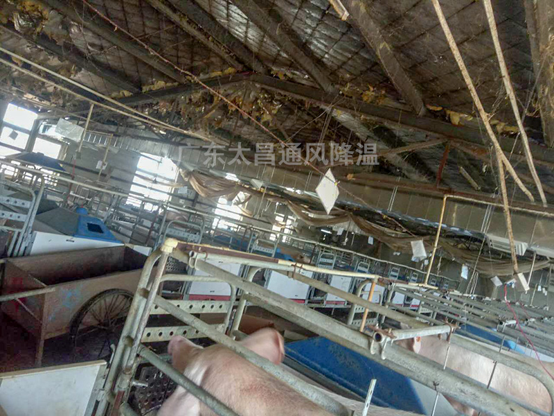 養(yǎng)殖場通風(fēng)降溫常用設(shè)備3 養(yǎng)殖場通風(fēng)降溫常用設(shè)備3